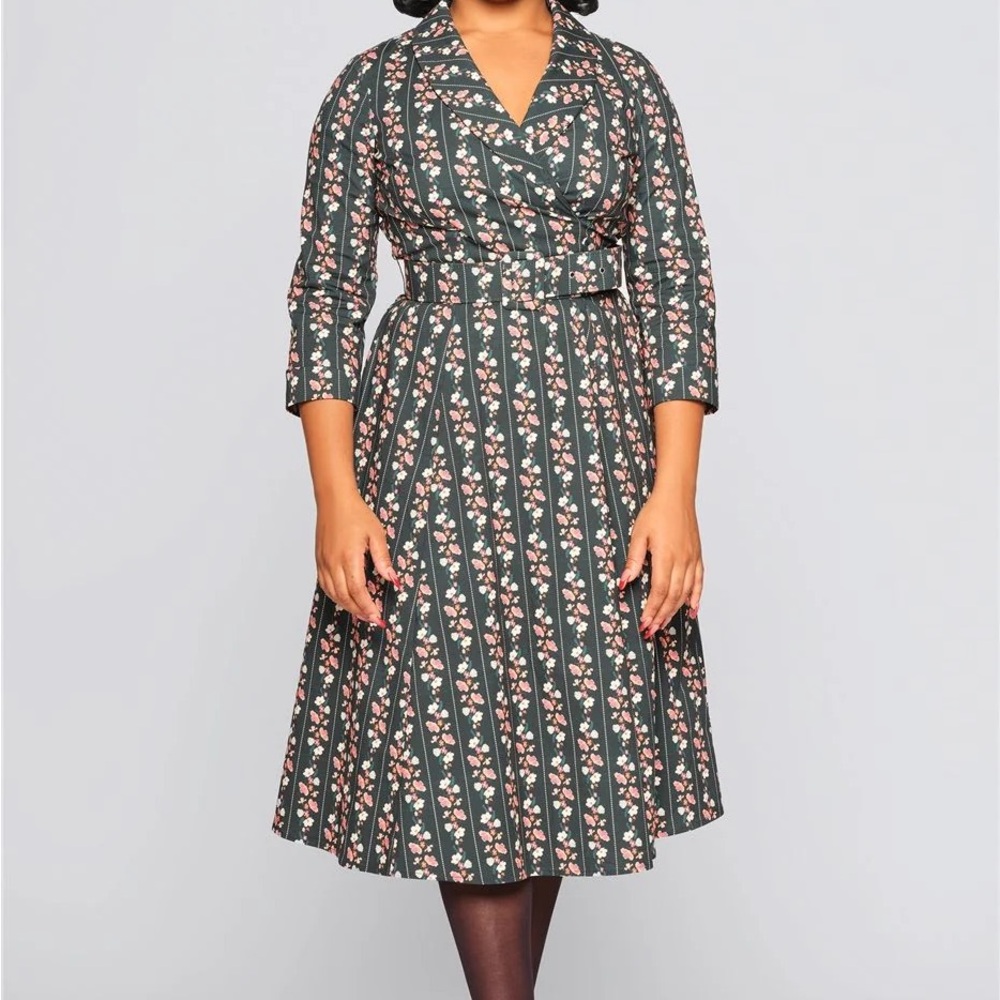 Collectif Floral Striped Dress - Green and Pink